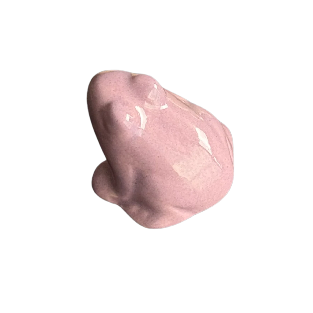 🐸 Frog Topper