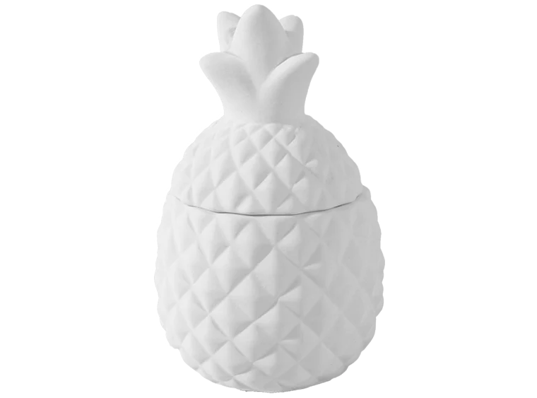 🍍 Pineapple Box