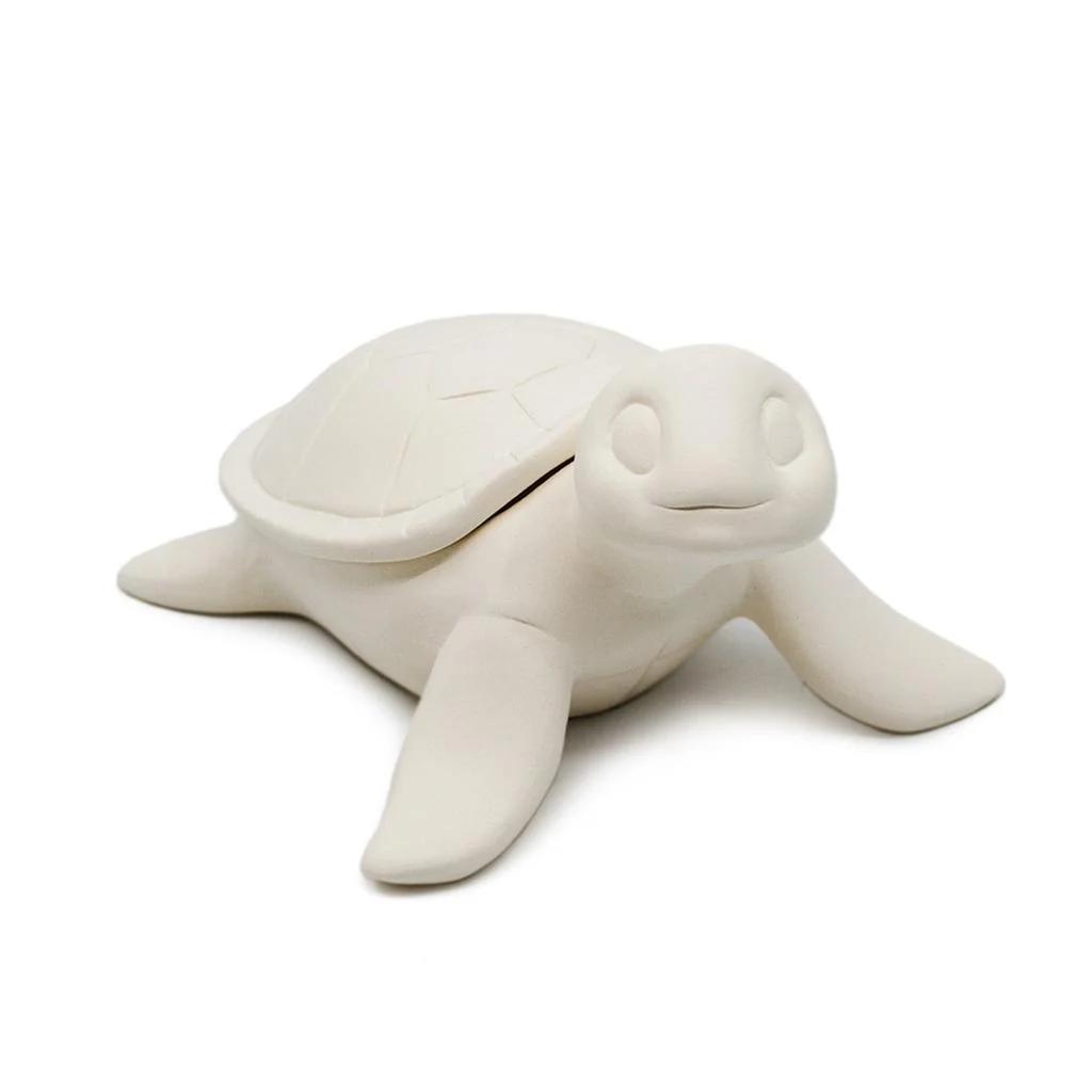🦞 Sea Turtle Box