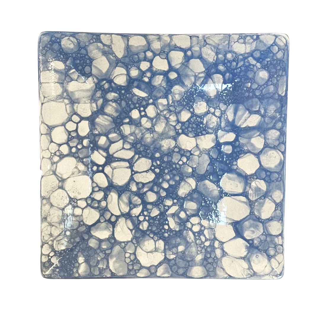 🍽️☕️💜🦞Sq Coupe Dinner Plate - Image 6